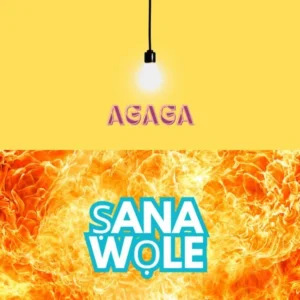 Agaga – Ṣanawọle