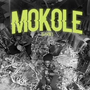 Ayisi – Mokole Live Ft. Nkyinkyim Band