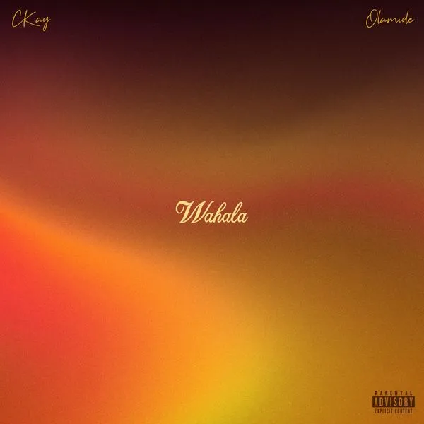 CKay – WAHALA ft. Olamide Mp3 Download