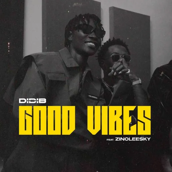 Didi B – Good Vibes ft. Zinoleesky Mp3 Download