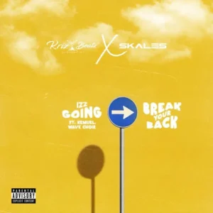 Krizbeatz – Break Your Back ft. Skales