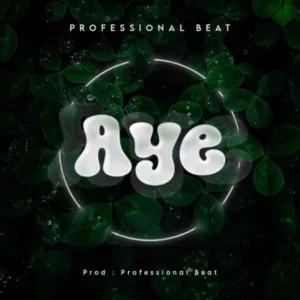 Professional Beat – Aye