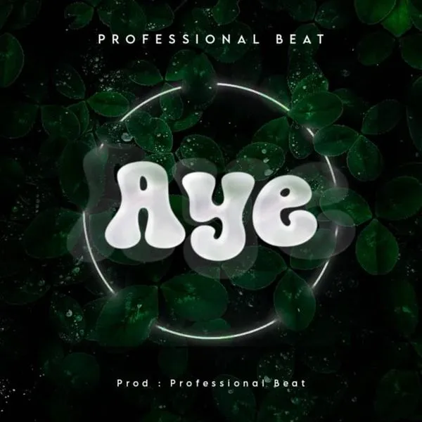 Professional Beat – Aye Mp3 Download