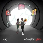 ZIK – Electric Vibe